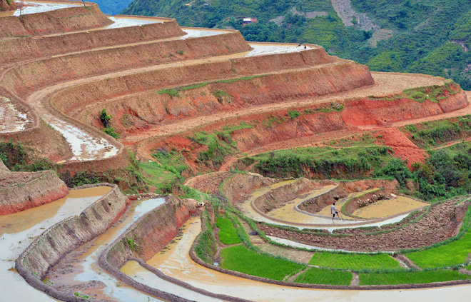 Hoàng Su Phì quyến rũ mùa nước đổ ảnh 3